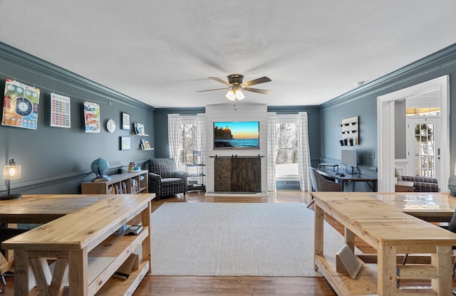 45 Link Hills Cir, Greeneville, TN 37743 - living area featuring ornamental molding, ceiling fan, wood finished floors, and a fireplace with raised hearth