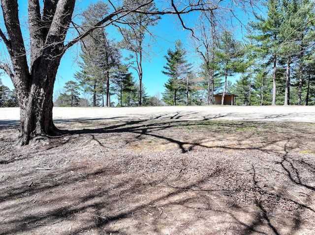 45 Link Hills Cir, Greeneville, TN 37743 - view of yard