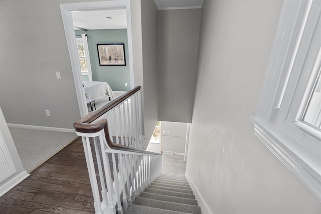 45 Link Hills Cir, Greeneville, TN 37743 - stairs with baseboards and wood finished floors