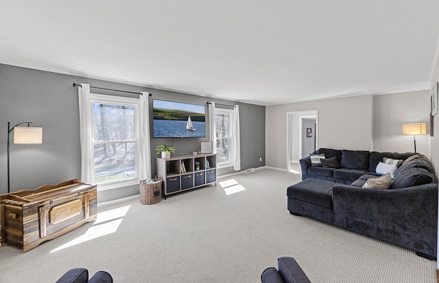 45 Link Hills Cir, Greeneville, TN 37743 - living area featuring carpet flooring and baseboards