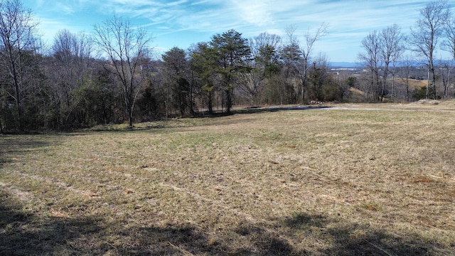 Listing photo 2 for 1087 Little Mountain Rd, Russellville TN 37860