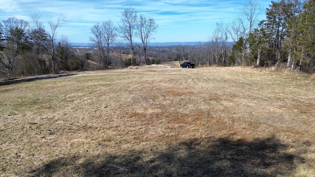 1087 Little Mountain Rd, Russellville TN, 37860 land for sale