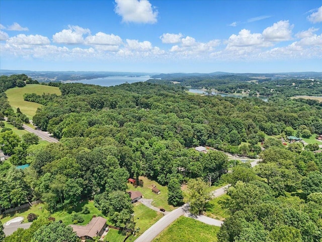 1208 Groseclose Rd, Jefferson City, TN 37760 - photo 44