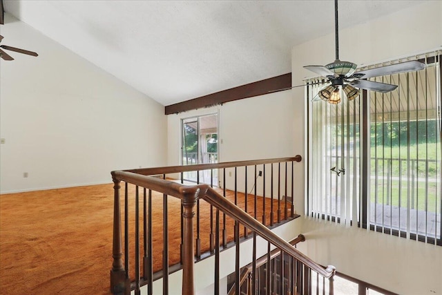 1208 Groseclose Rd, Jefferson City, TN 37760 - photo 10