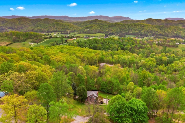 150 Grandview Dr, Maynardville, TN 37807 - photo 36