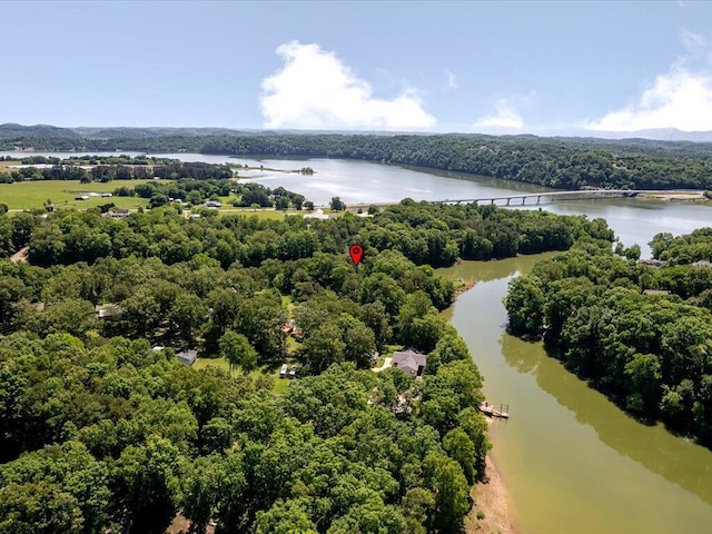 3428 Connie Ln, White Pine, TN 37890 - photo 42