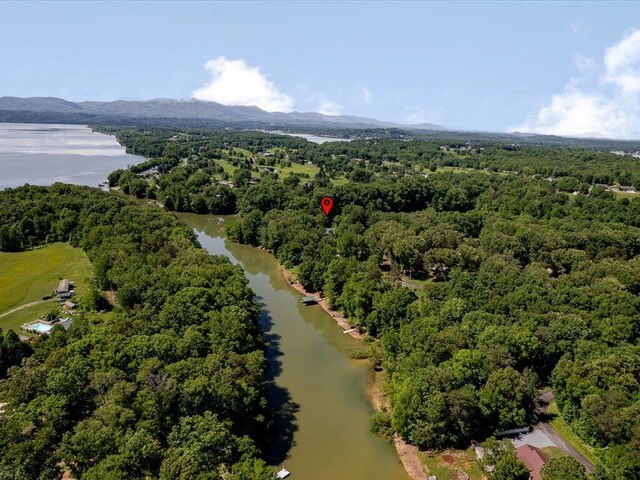 3428 Connie Ln, White Pine, TN 37890 - photo 45