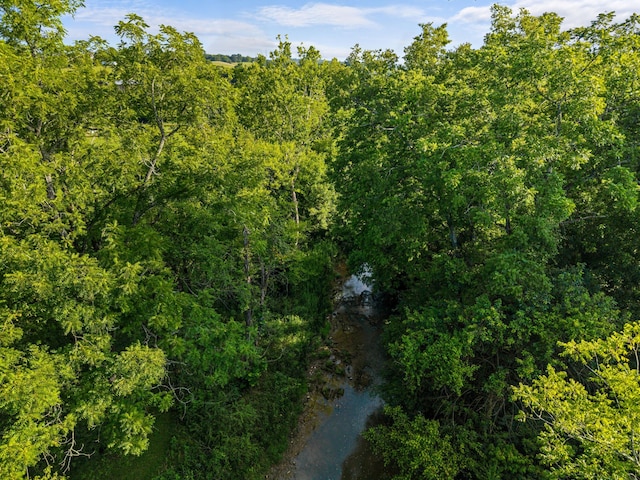 3341 Bent Creek Rd, Russellville, TN 37860 - photo 6