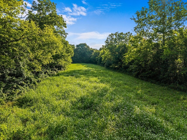 3341 Bent Creek Rd, Russellville, TN 37860 - photo 4