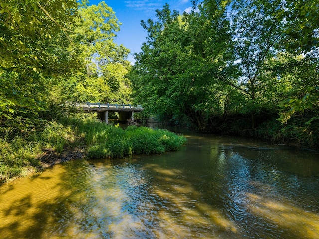3341 Bent Creek Rd, Russellville, TN 37860 - photo 12