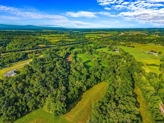 3341 Bent Creek Rd, Russellville, TN 37860 - photo 16