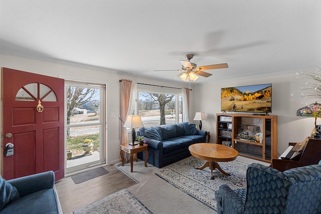 1554 Old Parrotsville Hwy, Parrottsville, TN 37843 - living room with ornamental molding, wood finished floors, and a ceiling fan
