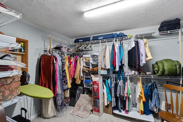 1554 Old Parrotsville Hwy, Parrottsville, TN 37843 - view of spacious closet
