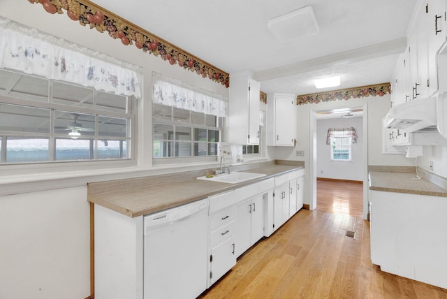 kitchen with white cabinetry, sink, ceiling fan, white dishwasher, and light hardwood / wood-style floors