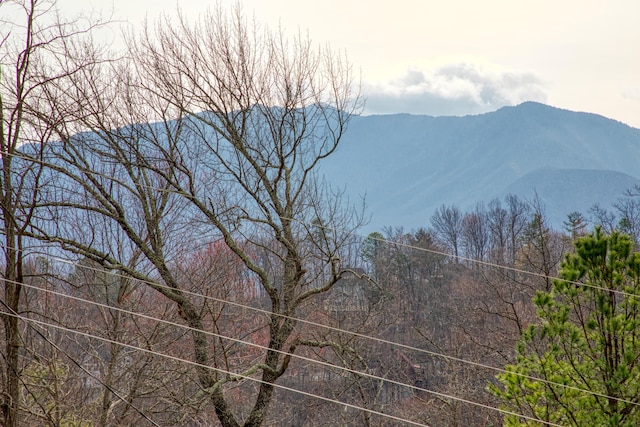 mountain view featuring a view of trees