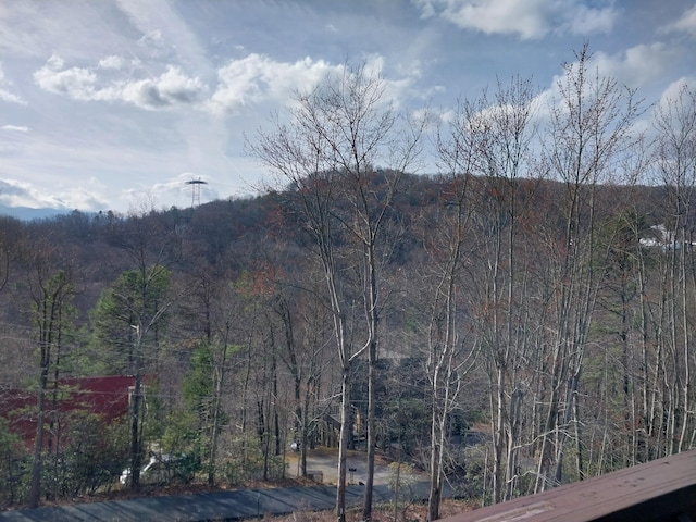 view of mountain feature featuring a forest view