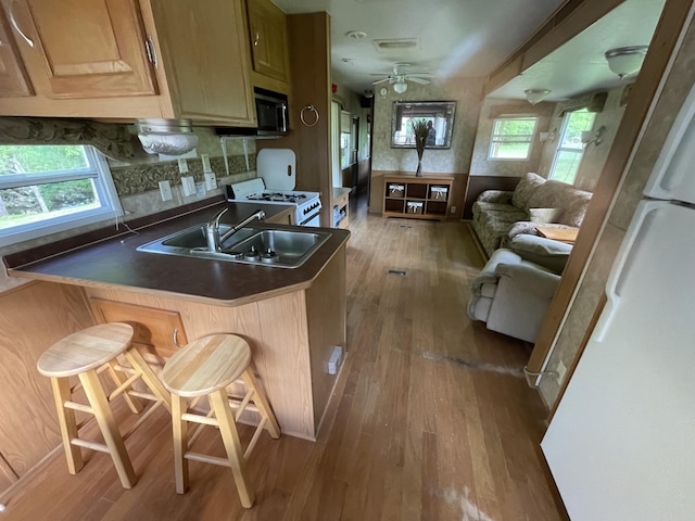 4124 Big Creek Rd, Hartford, TN 37753 - kitchen featuring a sink, white appliances, hardwood / wood-style floors, dark countertops, and a peninsula