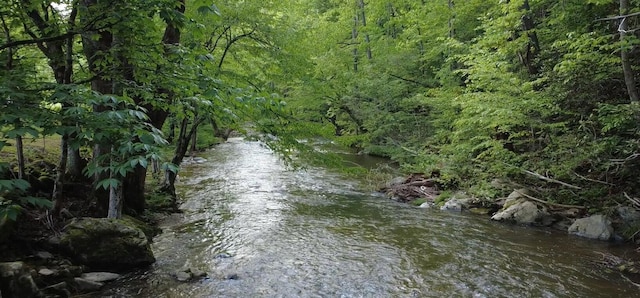 4124 Big Creek Rd, Hartford, TN 37753 - water view with a heavily wooded area