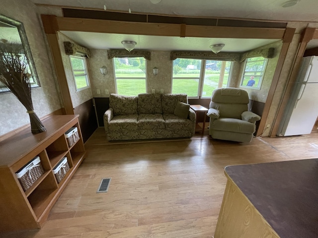 4124 Big Creek Rd, Hartford, TN 37753 - living room with light wood-style flooring