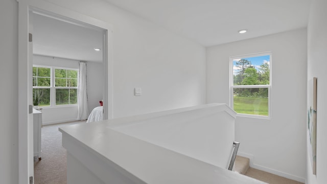 3067 Villas Creekside Dr, Dandridge, TN 37725 - photo 26