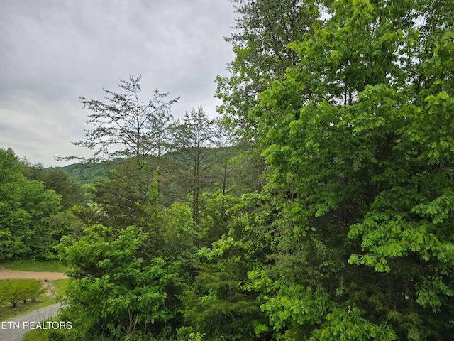 1432 Upper Caney Valley Rd, Tazewell, TN 37879