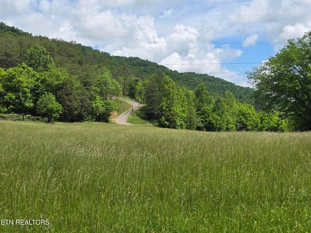 1432 Upper Caney Valley Rd, Tazewell, TN 37879