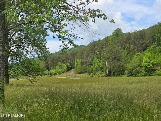 1432 Upper Caney Valley Rd, Tazewell, TN 37879