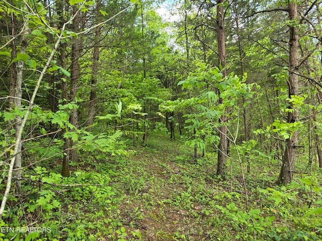 1432 Upper Caney Valley Rd, Tazewell, TN 37879