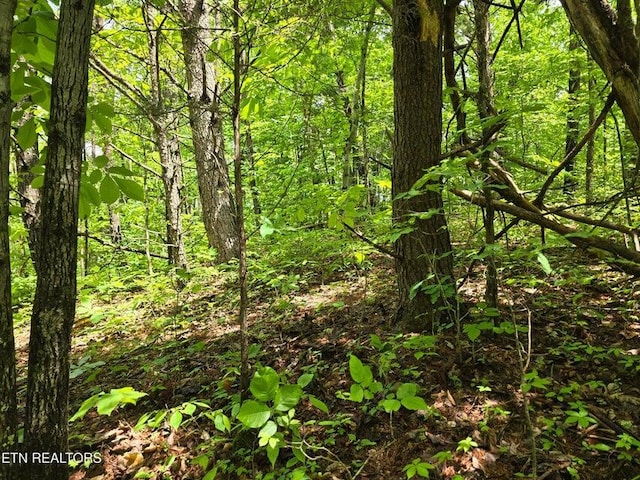 1432 Upper Caney Valley Rd, Tazewell, TN 37879