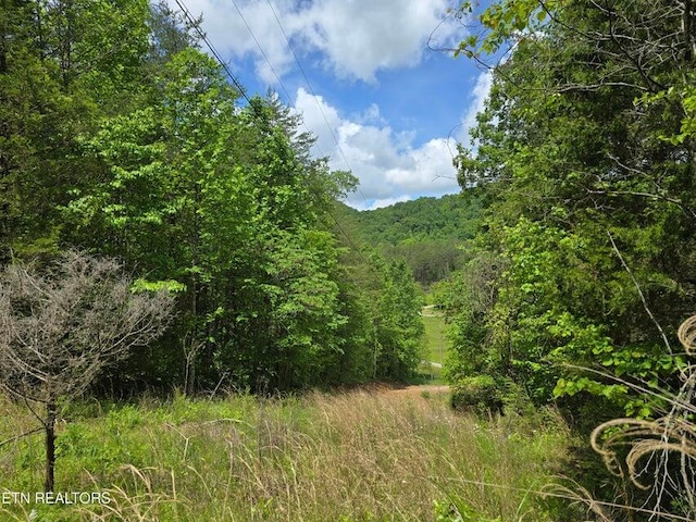 1432 Upper Caney Valley Rd, Tazewell, TN 37879