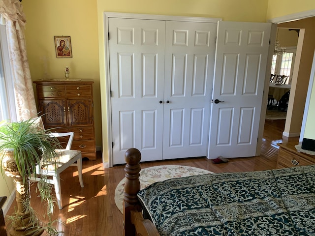 bedroom with a closet and wood finished floors