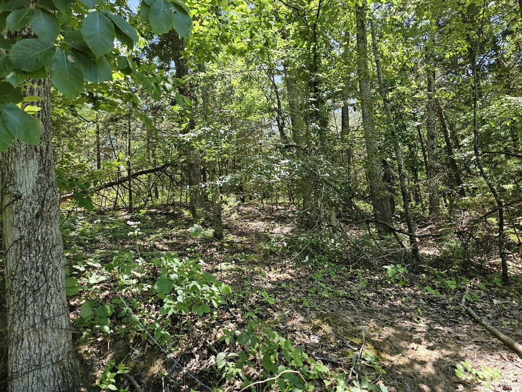 00 Gardenia Rd, Newport, TN 37821 - photo 3