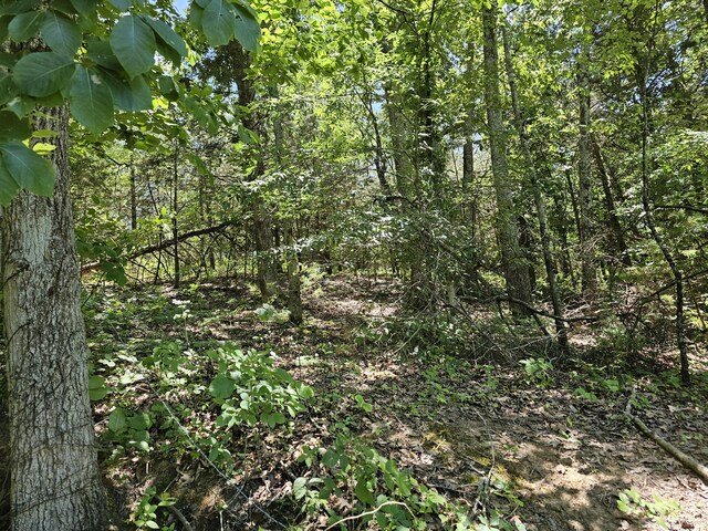 00 Gardenia Rd, Newport, TN 37821 - photo 3