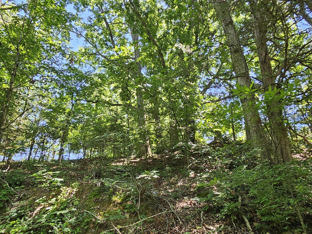 00 Gardenia Rd, Newport, TN 37821 - photo 2