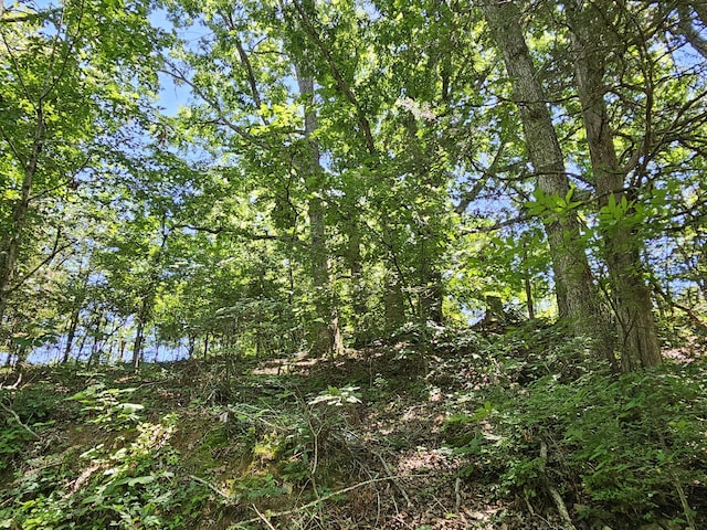 00 Gardenia Rd, Newport, TN 37821 - photo 2