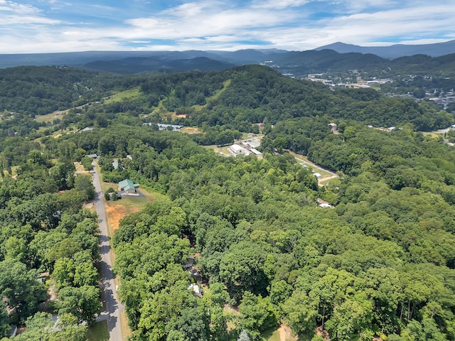 433 Oak Grove Rd, Rogersville, TN 37857 - photo 46