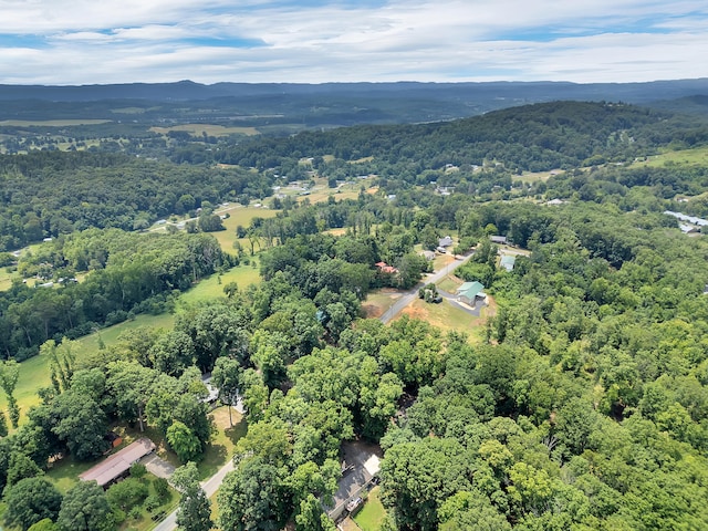 433 Oak Grove Rd, Rogersville, TN 37857 - photo 45