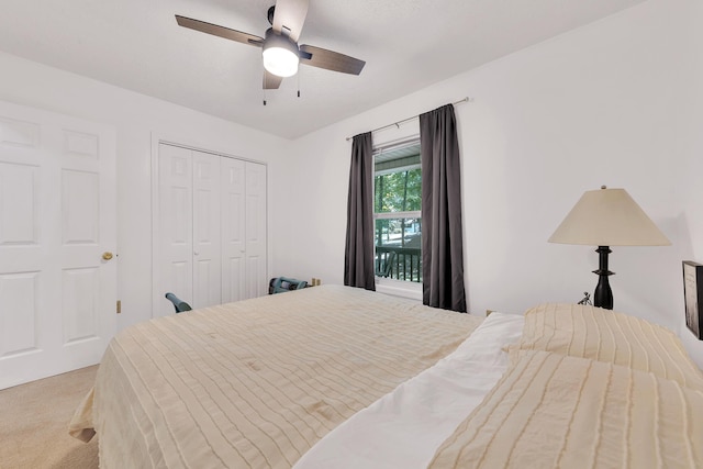 433 Oak Grove Rd, Rogersville, TN 37857 - photo 23