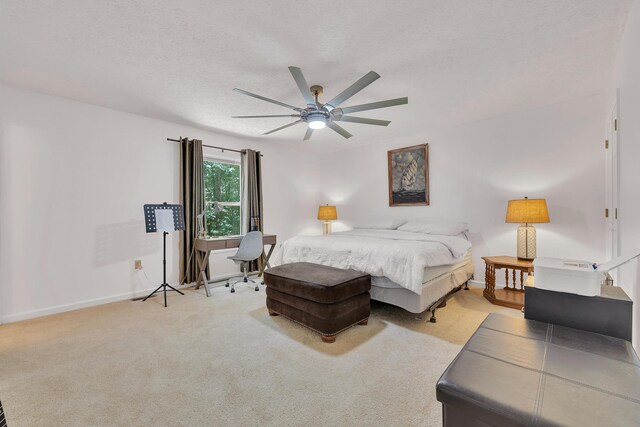 433 Oak Grove Rd, Rogersville, TN 37857 - photo 28