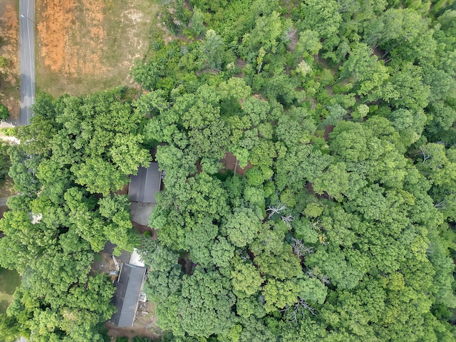 433 Oak Grove Rd, Rogersville, TN 37857 - photo 41