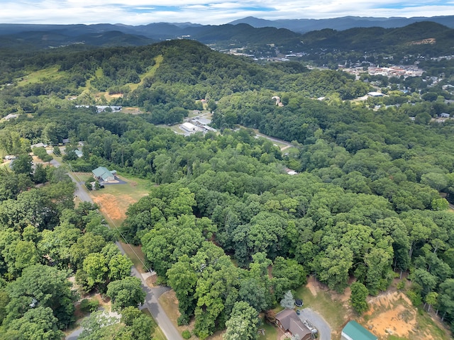 433 Oak Grove Rd, Rogersville, TN 37857 - photo 43