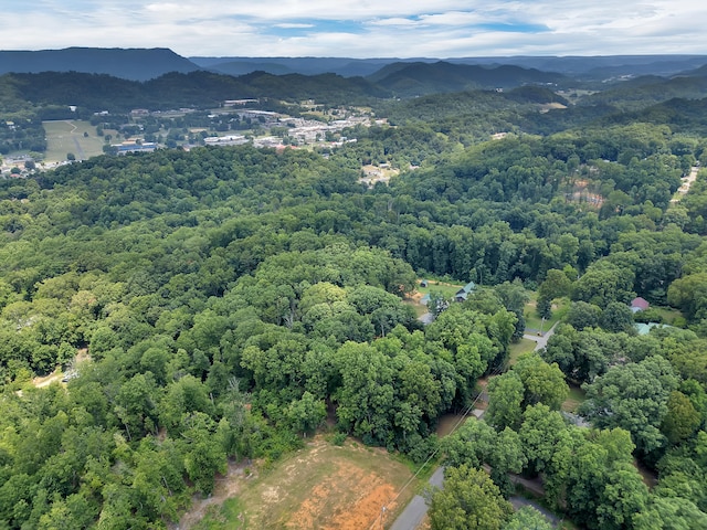 433 Oak Grove Rd, Rogersville, TN 37857 - photo 44