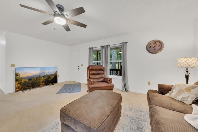 433 Oak Grove Rd, Rogersville, TN 37857 - photo 9