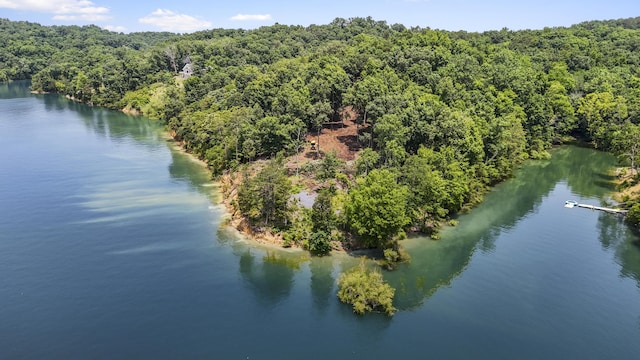 1039 Sunny Ct, White Pine, TN 37890