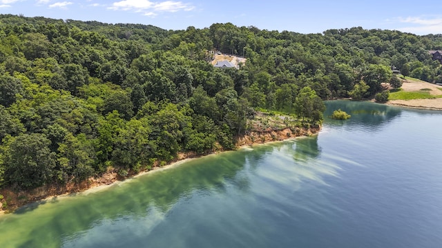 1039 Sunny Ct, White Pine, TN 37890