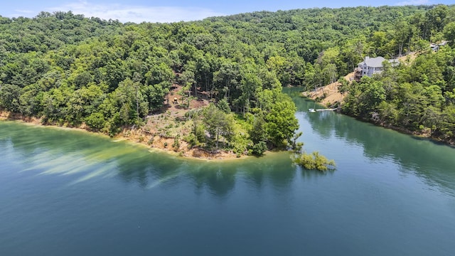 1039 Sunny Ct, White Pine, TN 37890