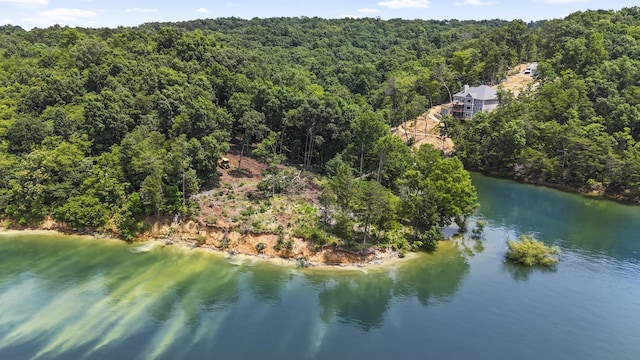 1039 Sunny Ct, White Pine, TN 37890