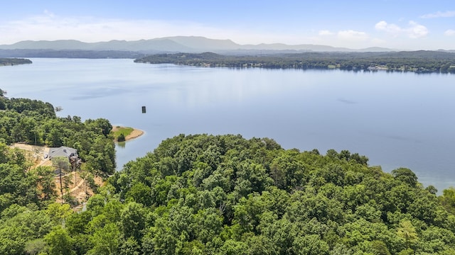 1039 Sunny Ct, White Pine, TN 37890