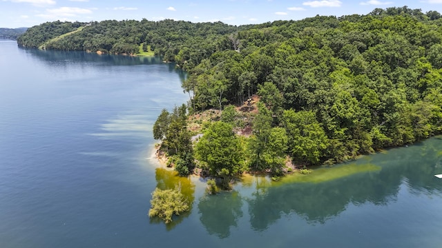 1039 Sunny Ct, White Pine, TN 37890