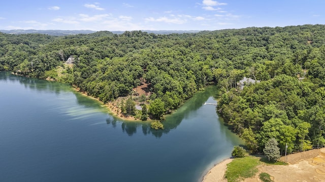 1039 Sunny Ct, White Pine, TN 37890
